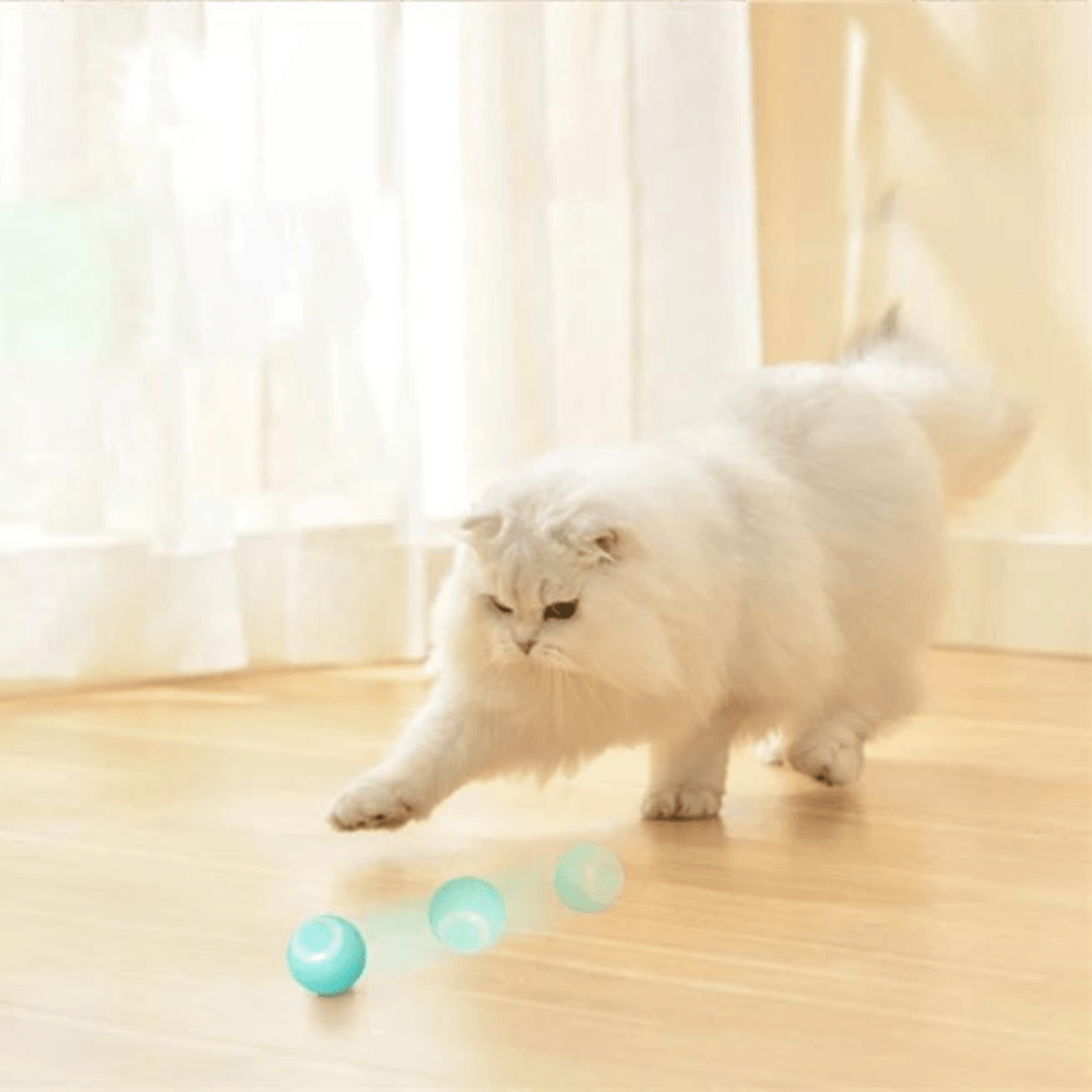 Brinquedo Bola Inteligente Elétrica para Gatos - AccoBall - AccoPet