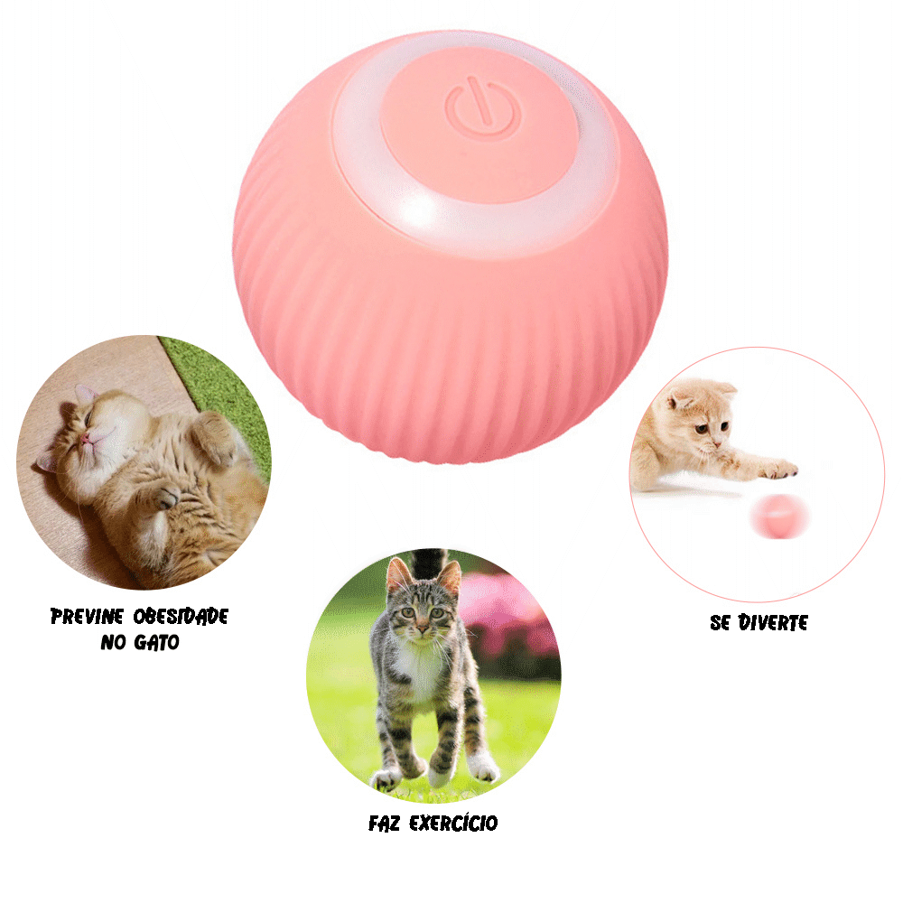 Brinquedo Bola Inteligente Elétrica para Gatos - AccoBall - AccoPet