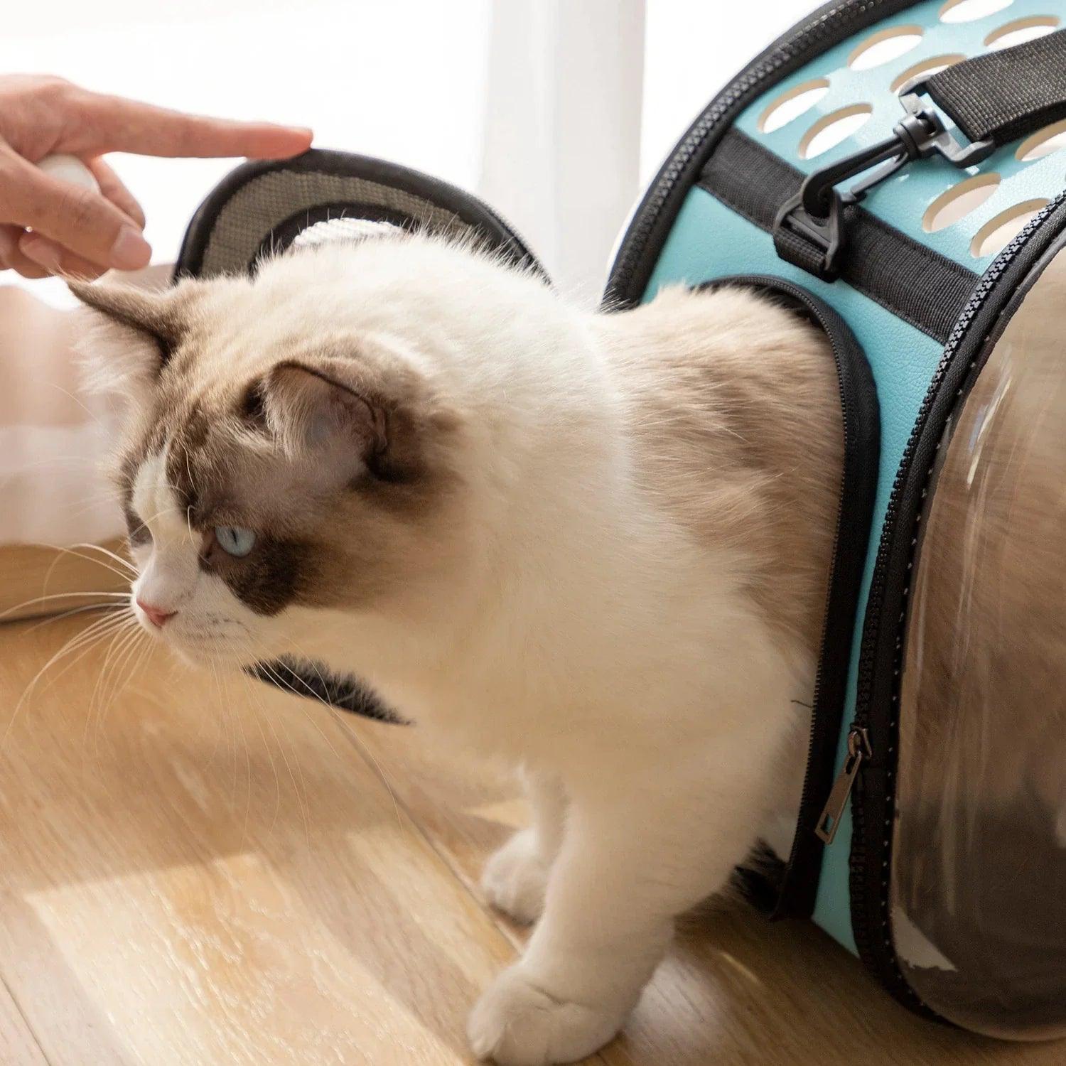 Bolsa de Transporte Transparente para Pets - AccoPet