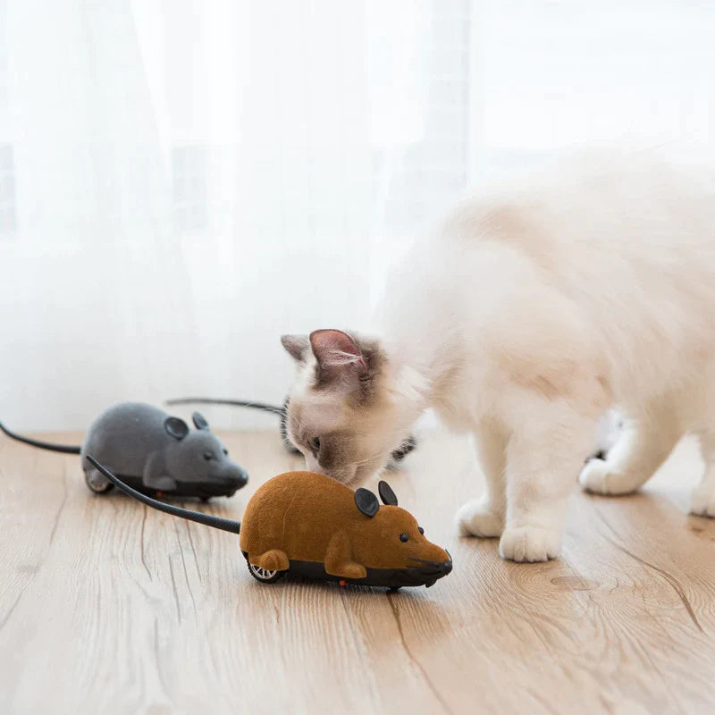 Brinquedo Rato de Controle Remoto para Gatos - AccoPet