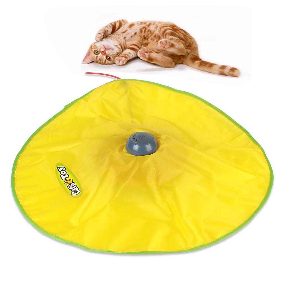 Brinquedo Tapete Mágico para Gatos - AccoPet