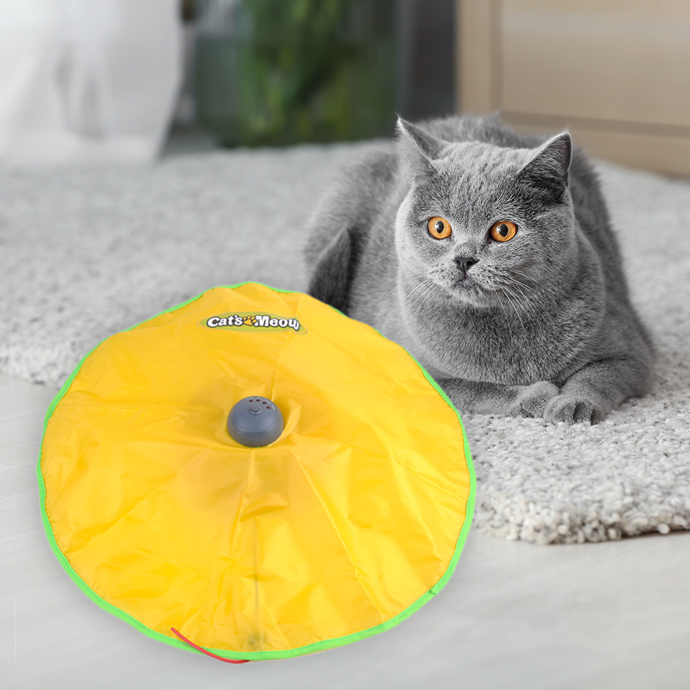 Brinquedo Tapete Mágico para Gatos - AccoPet