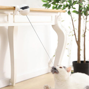 Brinquedo YoYo Elétrico para Gatos - AccoPet