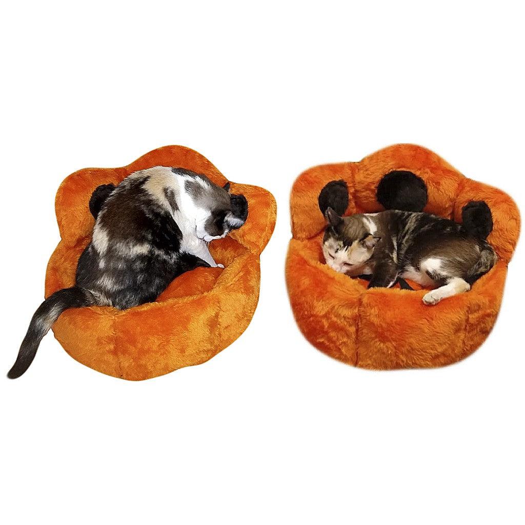 Caminha Estilo Pata para Pets - AccoPet