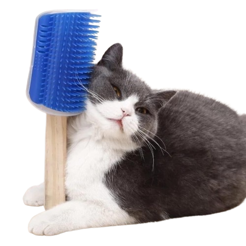 Massageador com Catnip para Gatos - AccoPet