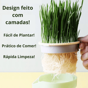 Vaso de Plantas para Gatos - AccoPet